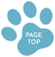 pagetop